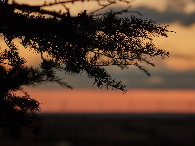 Atardecer en Burgos