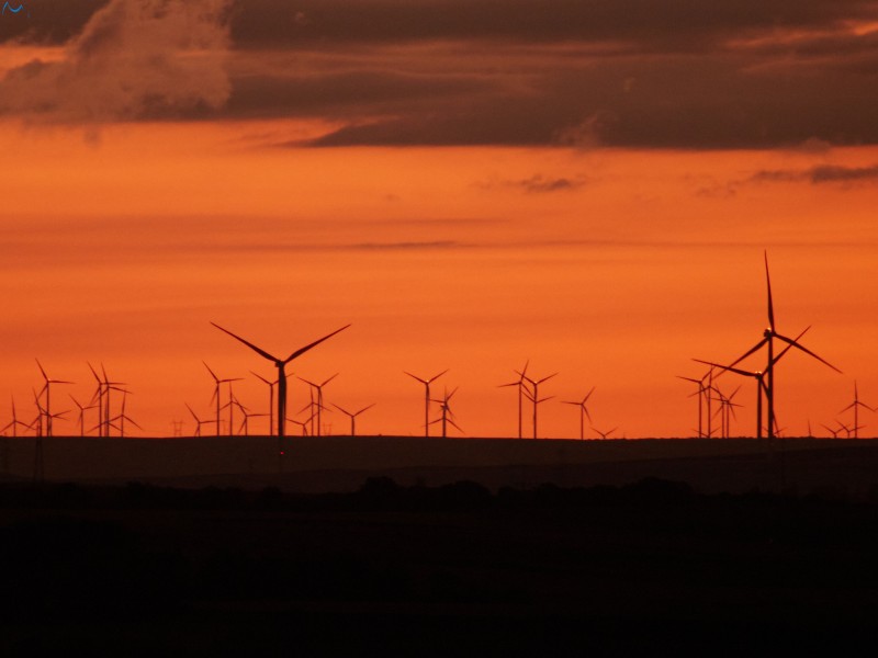 Molinos al atardecer