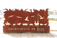 Observatorio de Aves Oporto